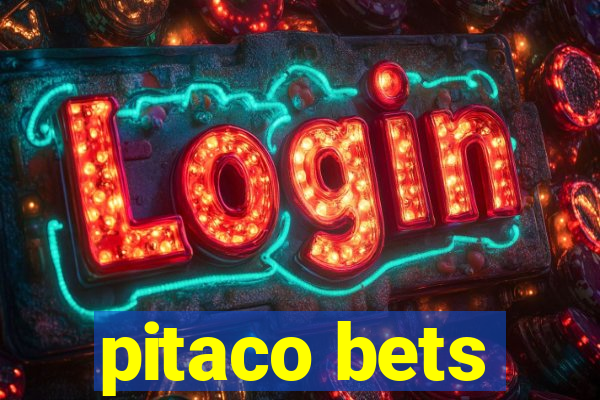 pitaco bets